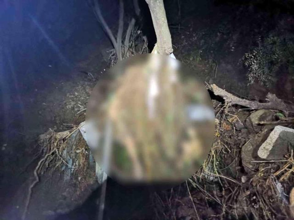 Mudanya'daki sel felaketinden acı haber: 2 gün sonra dere yatağında cesedi bulundu