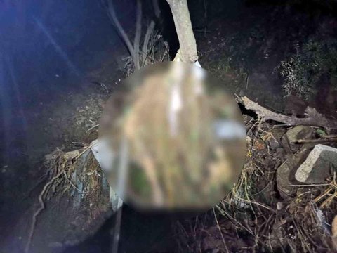 Mudanya'daki sel felaketinden acı haber: 2 gün sonra dere yatağında cesedi bulundu