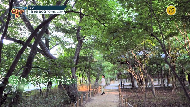 일상 생활 속 뇌 건강 지키는 특급 비법은?_알맹이 193회 예고 TV CHOSUN 220904 방송