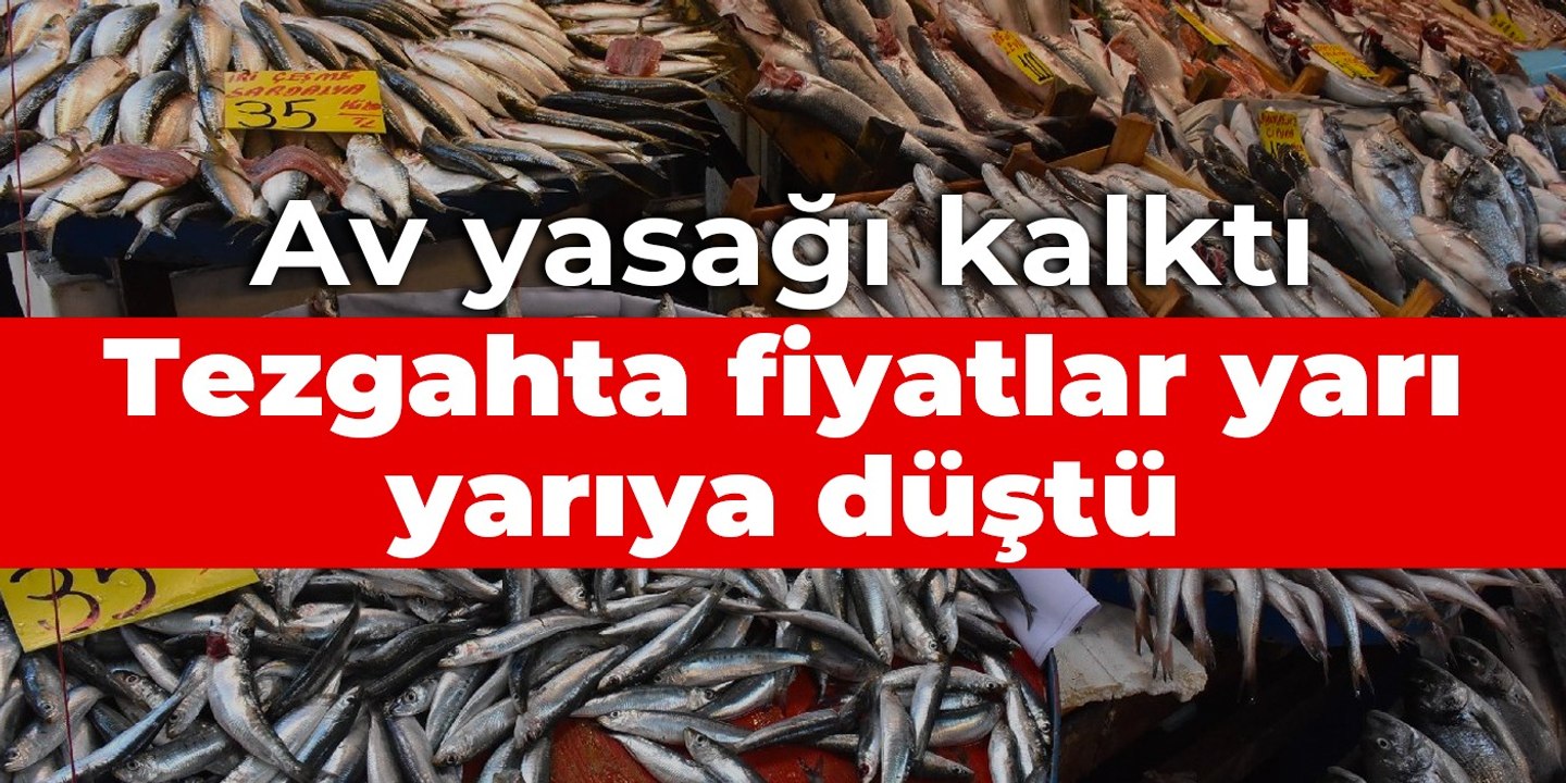 Av yasağı kalktı: Tezgahta fiyatlar yarı yarıya düştü