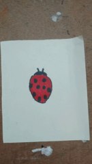 How to draw Lady Bug