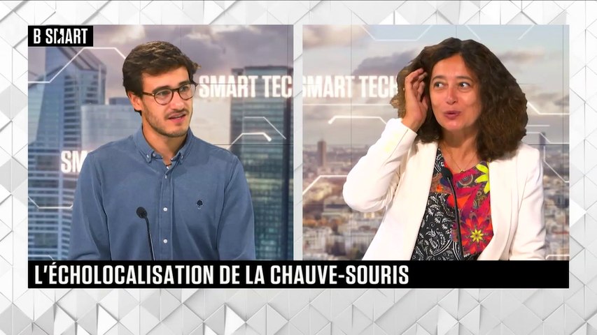 L’écholocalisation de la chauve-souris 