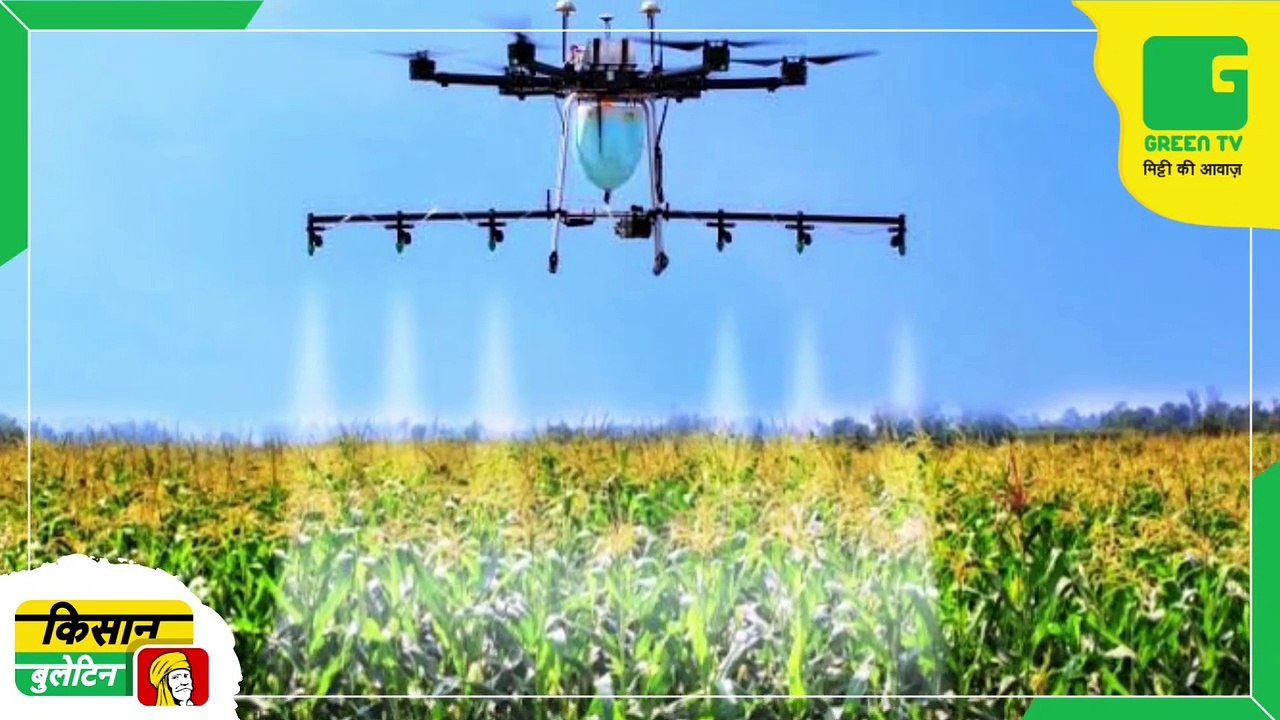 Kisan Bulletin - वैज्ञानिकों ने विकसित की गेहूं की तीन नई किस्में, किसान आगामी रबी सीजन से कर सकेंगे खेती | Agriculture | Green TV