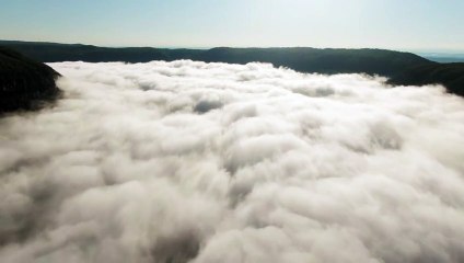 Therapy Music Stress Relief Frequency Therapy Make your body stronger