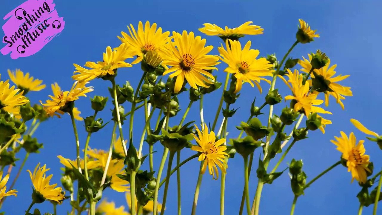 4Minute For Relaxing Music & Soft Sounds| Relaxing Piano Music, Sleep Music, Peaceful Music