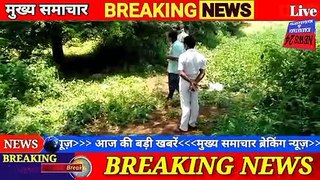 क्राइम न्यूज़ : हुलसूर गौर येथे शेतात एका अपरिचित वेक्तीचे शव सापडले #hulsoor#crimenews#baasavakalya
