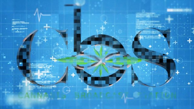 Port Saint Joe Man Sentenced to 15 Years in Federal Prison for Drug Trafficking and Firearm Offenses