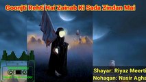 Goonjti Rehti Hai Zainab Ki Sada Zindan Mai | Shayar: RiyazMeerti | Nohaqan: NasirAgha | Noha lyrics