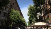 Roma, la vespa orientalis invade la citta' tra rifiuti e caldo