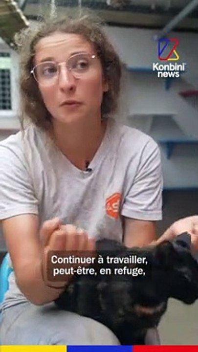 Je suis agent animalier à la SPA | Summer Jobs
