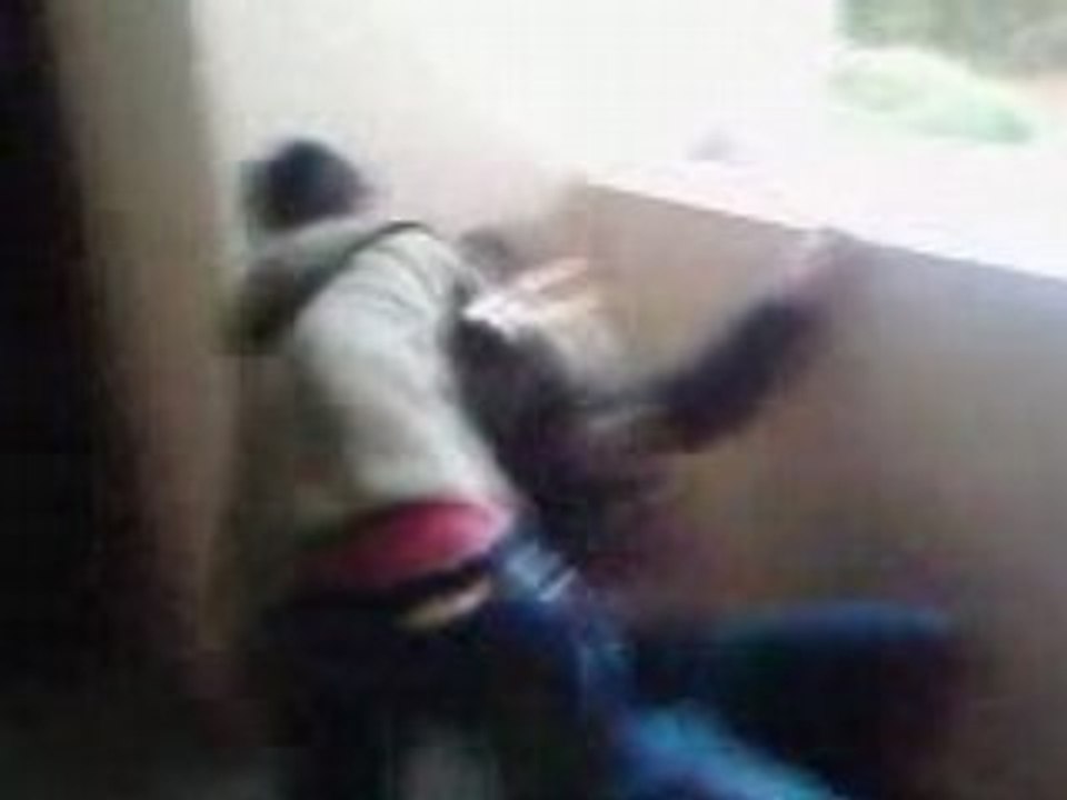 Combat