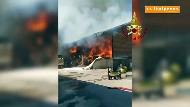 Incendio Padova, azienda agricola in fiamme: 300 animali intrappolati
