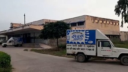 बेफिक्रों के बीच गोवंशों पर लम्पी टूट रहा बनकर उनकी मौत