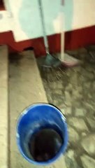 De paraíso a foco de ratas y cucarachas