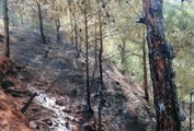 Hatay haberi... Hatay'da ormanlık alanda çıkan yangına müdahale sürüyor