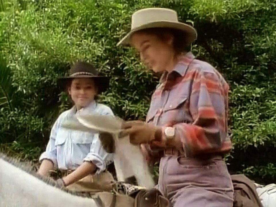 Black, der schwarze Blitz Staffel 5 Folge 9 HD Deutsch