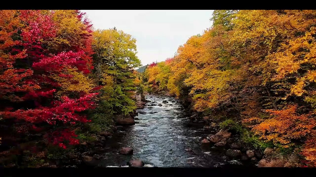 October Faction Staffel 1 Folge 6 HD Deutsch