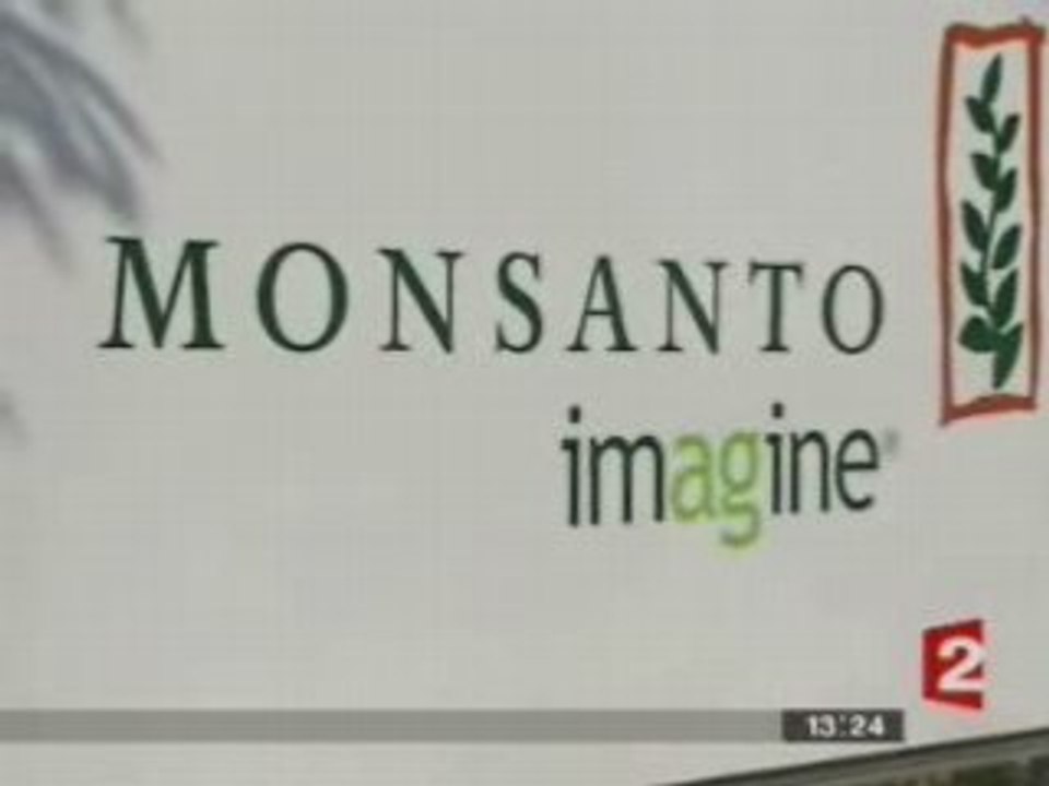 Le monde selon Monsanto _ JT 13h00