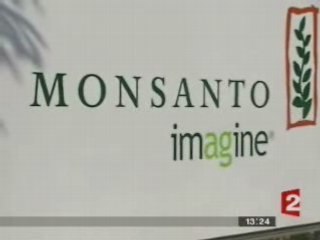 Le monde selon Monsanto _ JT 13h00