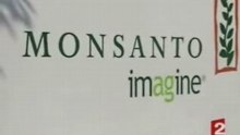 Le monde selon Monsanto _ JT 13h00