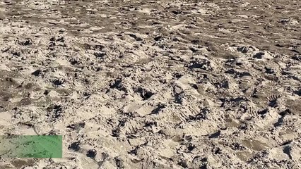 Jova Beach Party, Onu: "Gravi danni a Castelvolturno, era un ambiente che si stava rialzando"