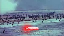 La Bataille de Normandie : 85 jours en enfer - Bande annonce