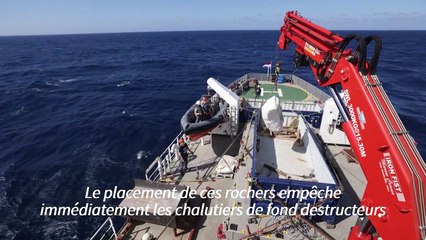 Greenpeace largue des rochers en mer contre le chalutage de fond