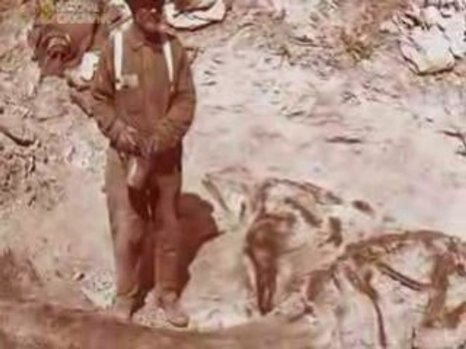 Dino_Autopsy_-_Part_2