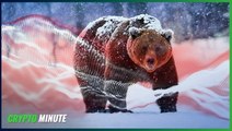 Crypto Winter vs. Bear Market - Explaining the Similarities and Differences