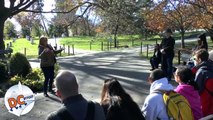 Highlights of the Arlington National Cemetery Tour