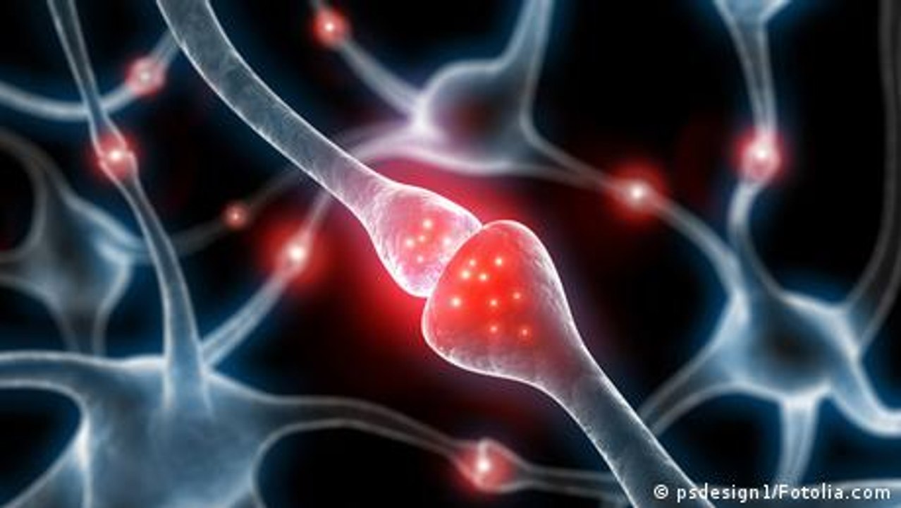 Wie kommunizieren Zellen miteinander?