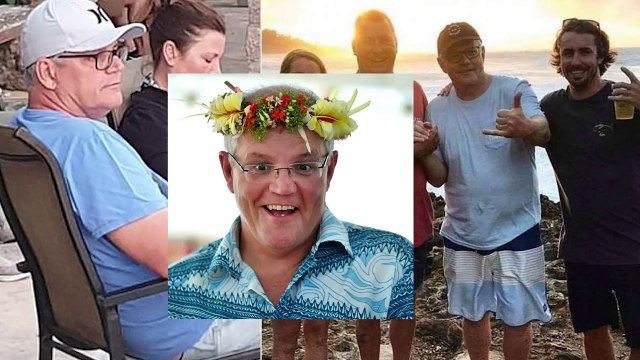 Ozzy Man Reviews Australian Bushfires