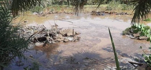 Son dakika haberi! Sudan'daki sel felaketinde can kaybı 105'e yükseldi