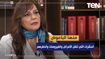 منها الباعوض.. استاذ بكلية العلوم تكشف عن الحشرات التي تنقل الأمراض والفيروسات وأخطرهم