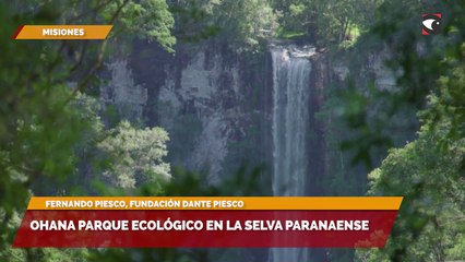 Sala cinco | Ohana Parque Ecológico en la selva paranaense
