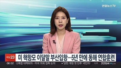 미 핵항모 이달말 부산입항…5년만에 동해 연합훈련