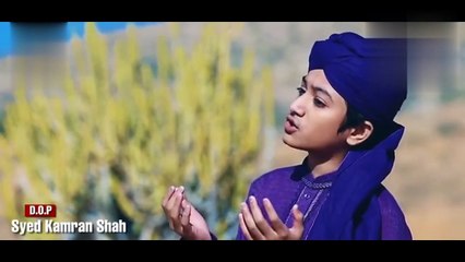 Hara Gumbad Jo Dekhoge Zamana Bhool Jaoge Naat | Heart Touching Naat | Ghulam Mustafa Qadri|