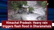 Himachal Pradesh: Heavy rain triggers flash flood in Dharamshala