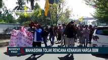 Tolak Rencana Kenaikan Harga BBM, PMII Kota Palopo Gelar Aksi Demo Hingga Bakar Ban Bekas di Jalan