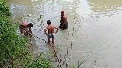 bangladeshi fishing