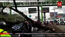 Rescatan a personas atrapadas en un vehículo en Ciudad de México