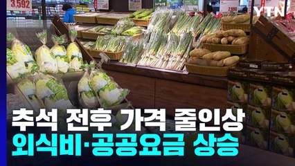 추석 전후 생활물가·공공요금 줄인상...가계 압박 커져 / YTN