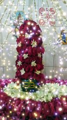 भोले बाबा को करना है प्रसन्न, तो पूजा करने से पहले यूं करें उनका श्रृंगार