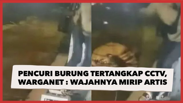 Pencuri Burung Tertangkap CCTV, Warganet Salfok Gegara Wajahnya Disebut Mirip Artis Terkenal