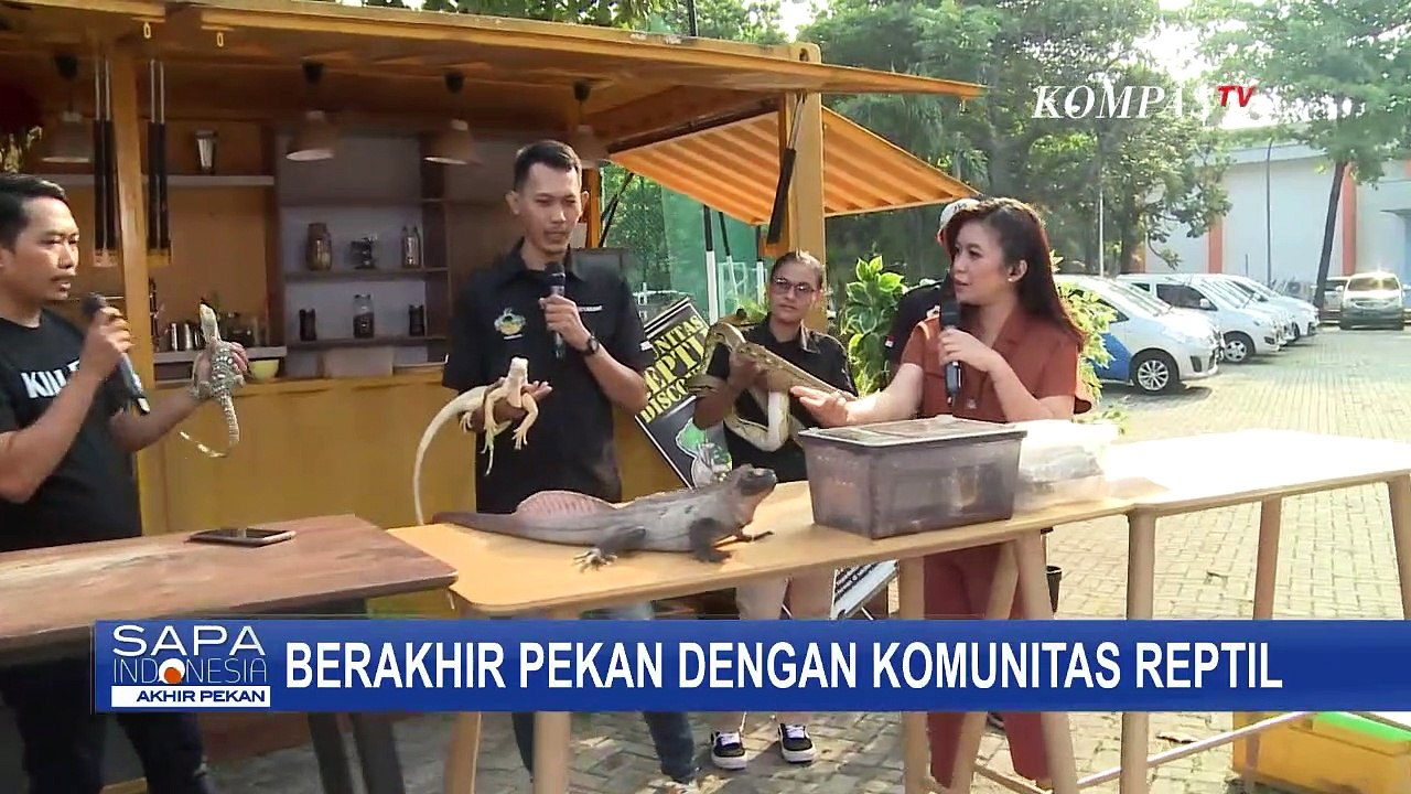 Mengenal Hewan Reptil Bersama Komunitas Reptil Discovery Tangerang, Ikuti Keseruannya!