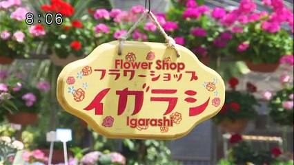 Tomica Hero Rescue Fire | EP - 23 | ENG SUBS