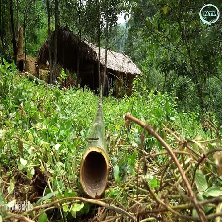 293389330_1367262937016541_672613881404248578_n