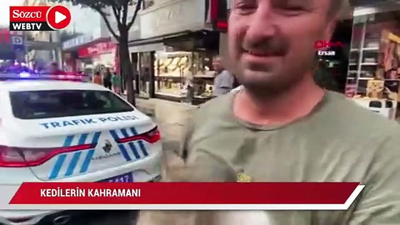 Kedilerin kahrmanı