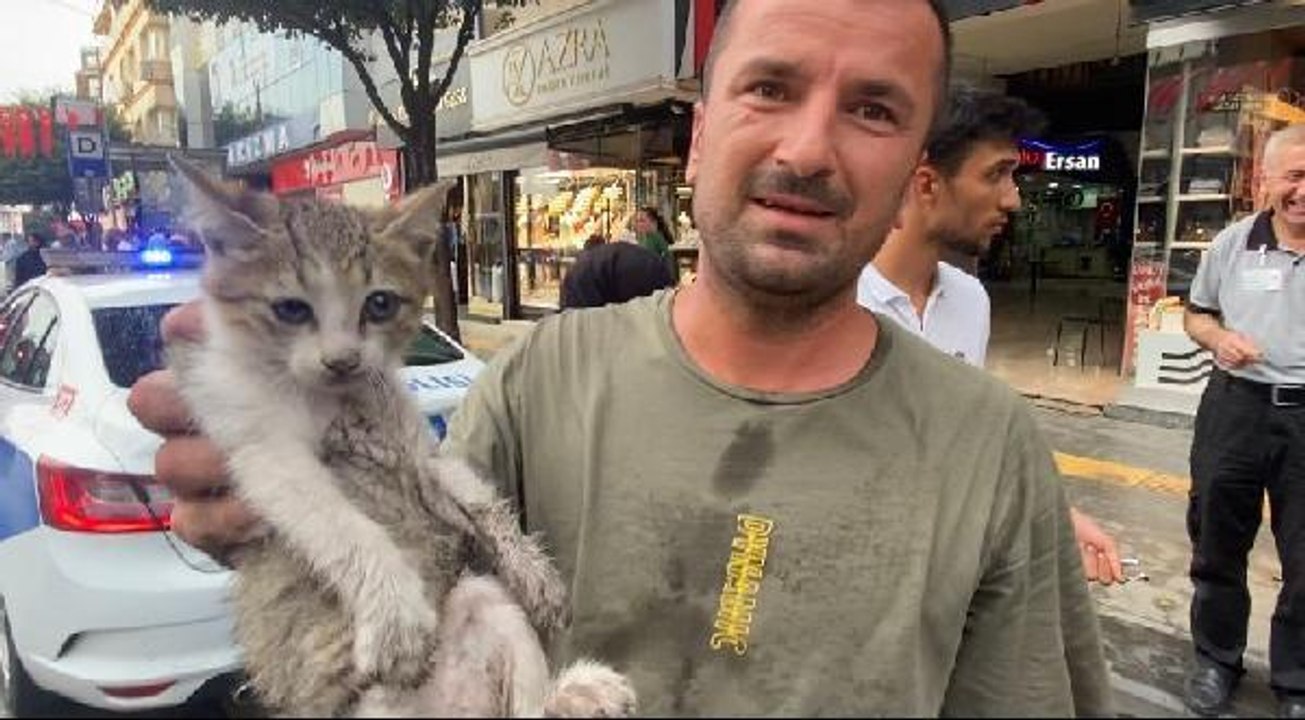 KEDİLERİN KAHRAMANI