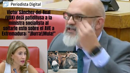 Víctor Sánchez Del Real (VOX) deja patidifusa a la ministra al soltarle esto sobre el AVE a Extremadura: "¡Burra!¡Mula!"